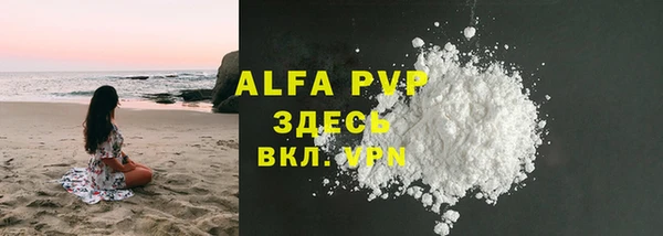 индика Алексин