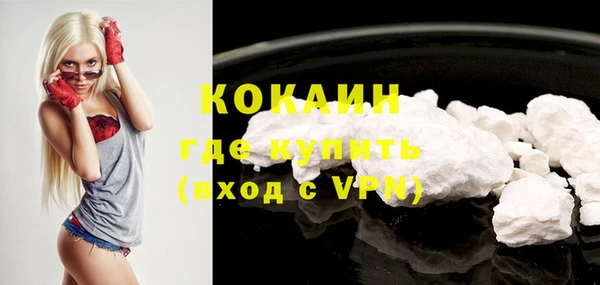 шишки Саяногорск