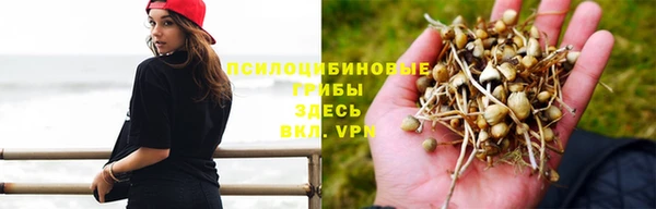 мескалин Алексеевка