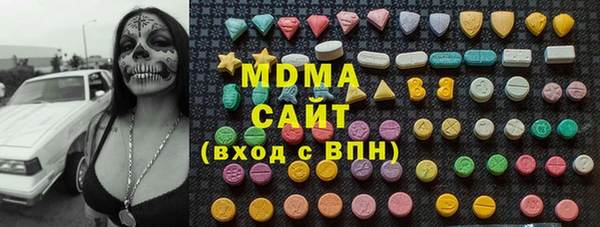 индика Алексин