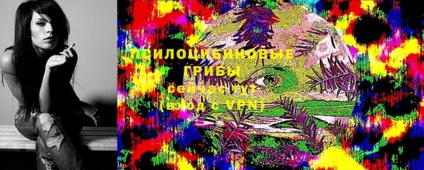 индика Алексин