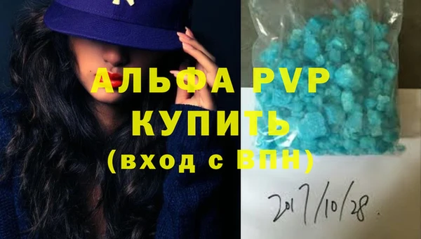 индика Алексин