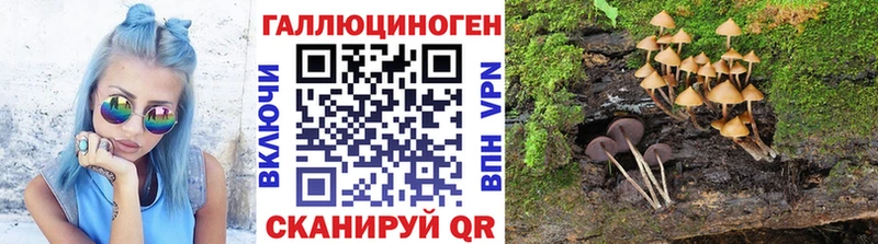дарнет шоп Любим Галлюциногенные грибы Psilocybine cubensis